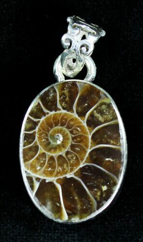 Ammonite Fossil Pendant - Sterling Silver #21045